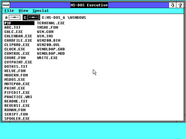 Zrzut ekranu Windows 2.0